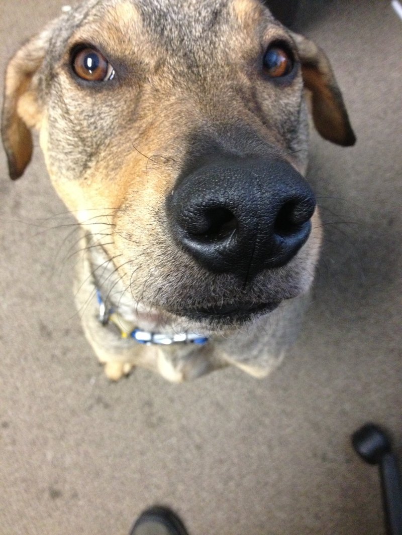 Jackson looking up at you